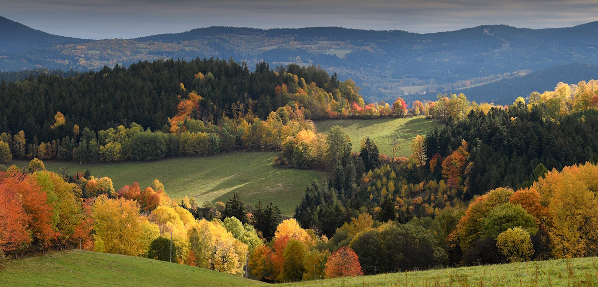 Böhmerwald in Tschechien